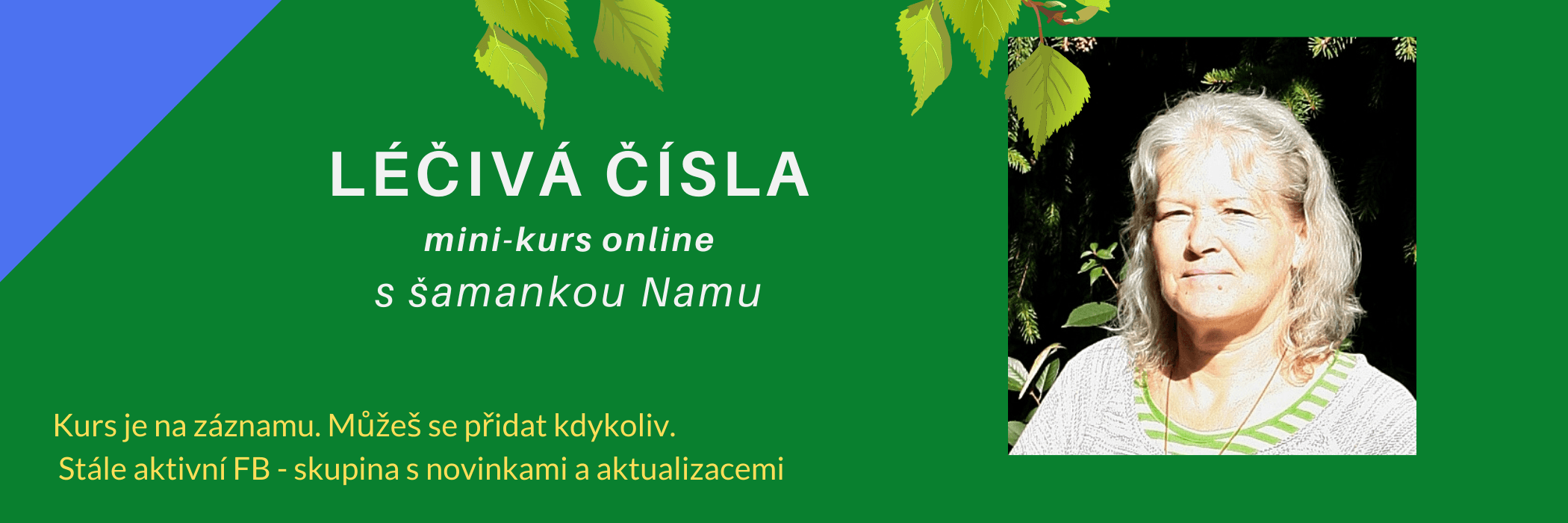 GRABOVOJ LÉČIVÁ ČÍSLA