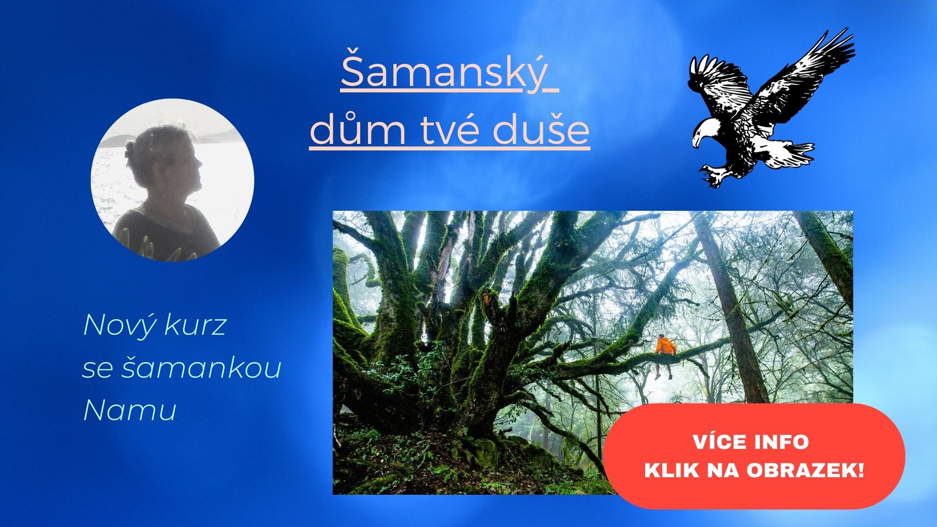 MUJ WEB KURS